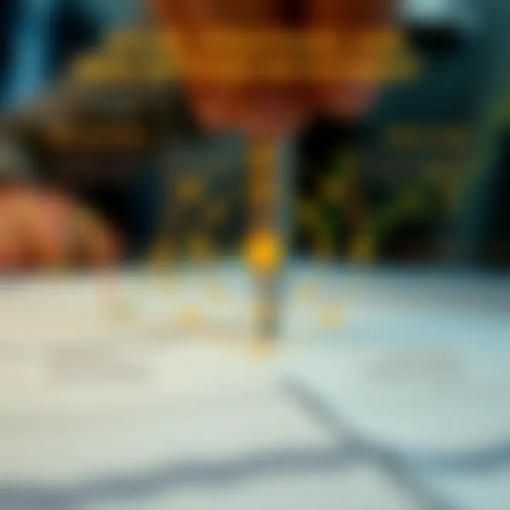 Graphic depicting strategies and risk management tools used in binary options investment