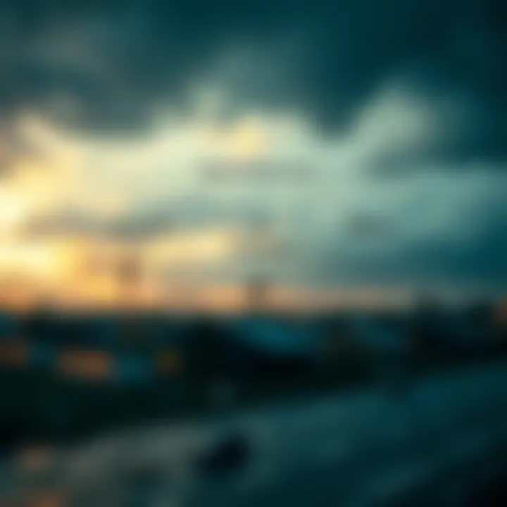 Diagram illustrating key phases of disaster risk management including identification, prevention, and response