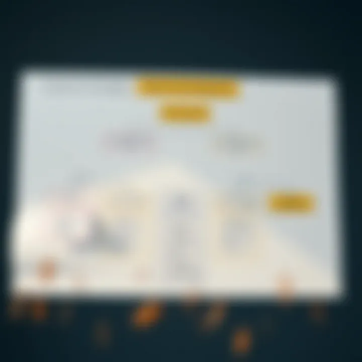 Flowchart illustrating components and strategies for managing natural disaster risks